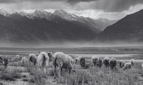 Somewhere in Zanskar