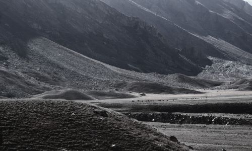 Trip Miyar Valley Trek 3