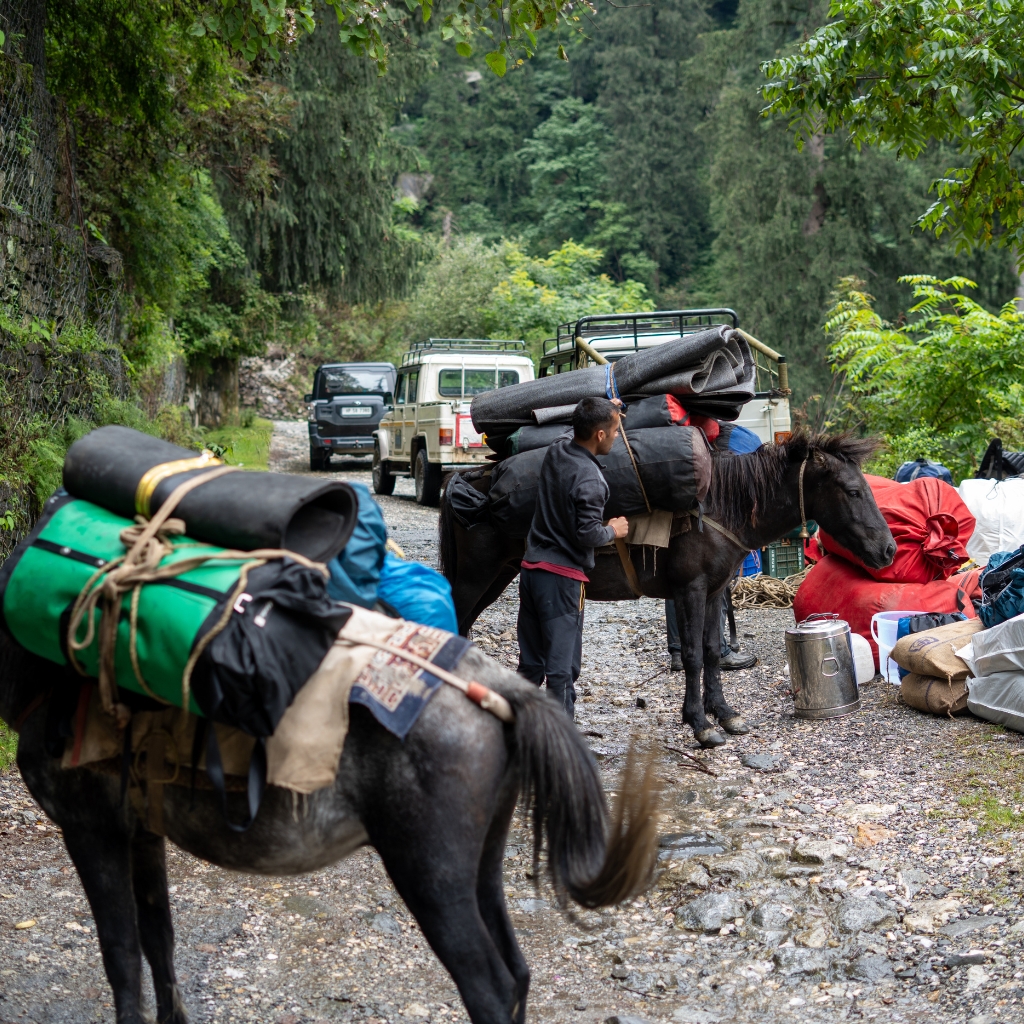 pahadi_bakra_about_us_indian_mountain_guide_IFMGA_UIAGM3