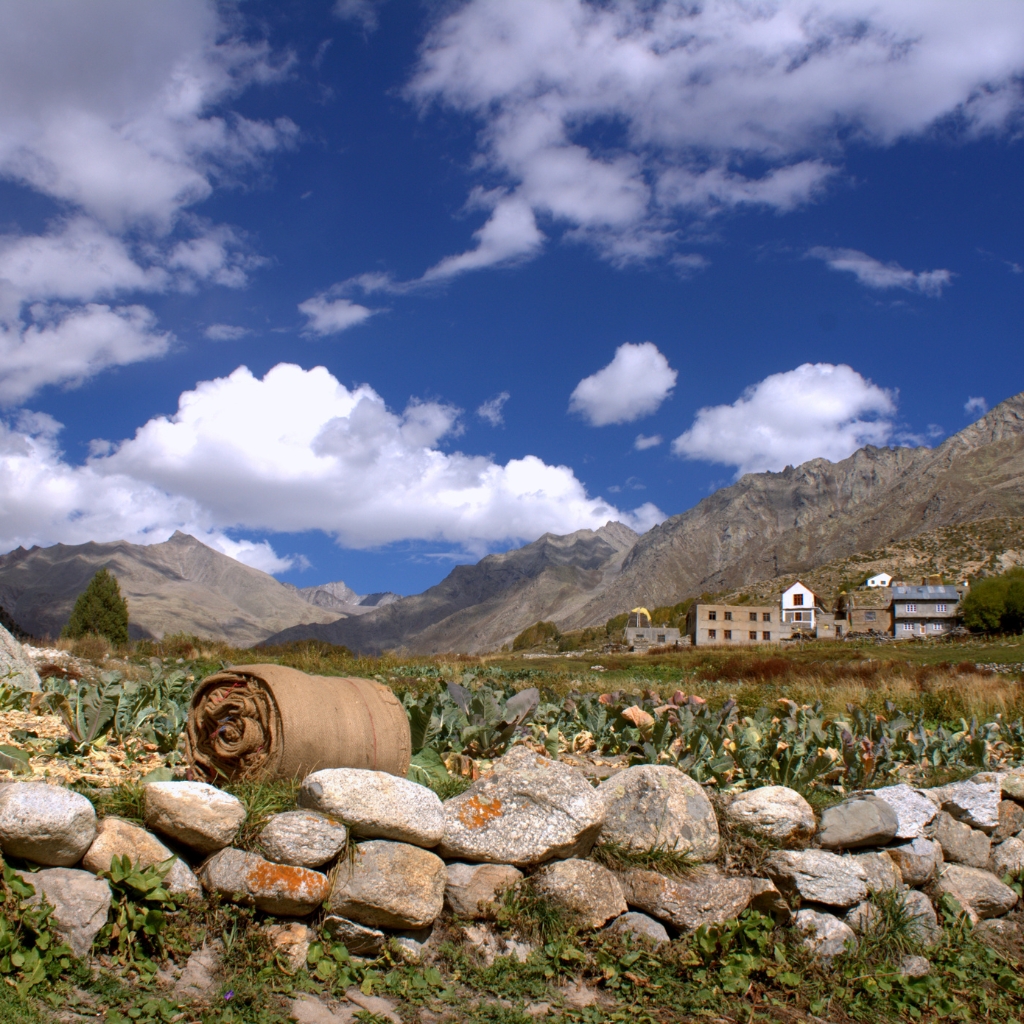 pahadi_bakra_fcustom_tours_ski_touring_india_alpinism_backpacking6