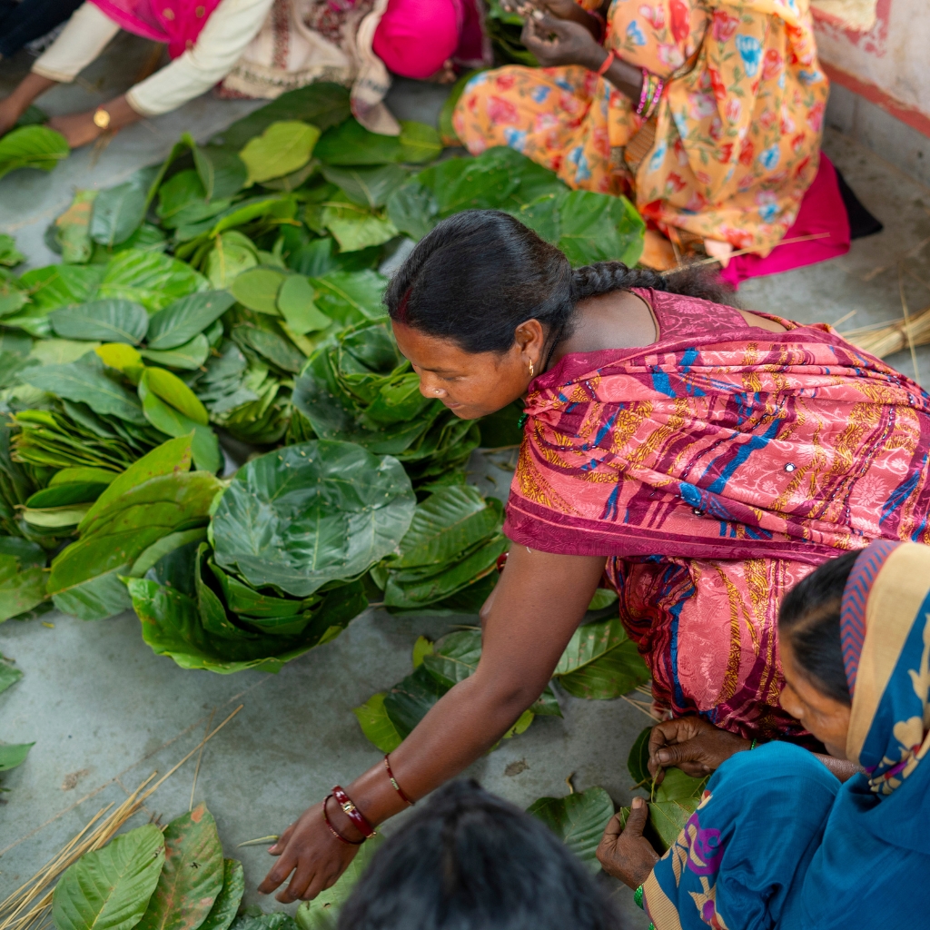 pahadi_bakra_project_community_work_ski_climb_teach_tribal8