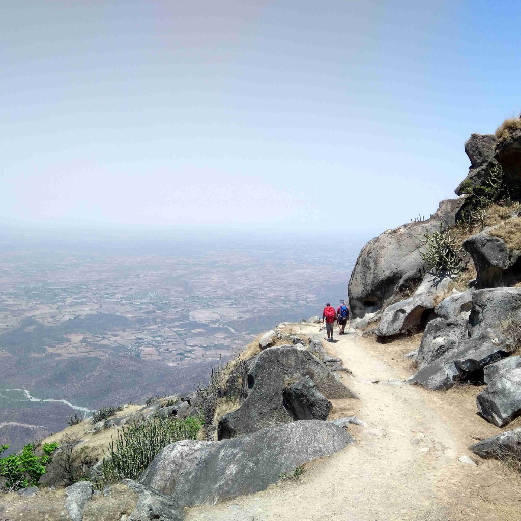 pahadi_bakra_project_shergaon_mount_abu1