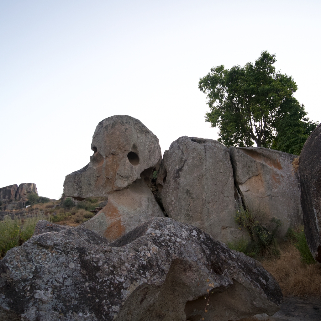 pahadi_bakra_project_shergaon_mount_abu12