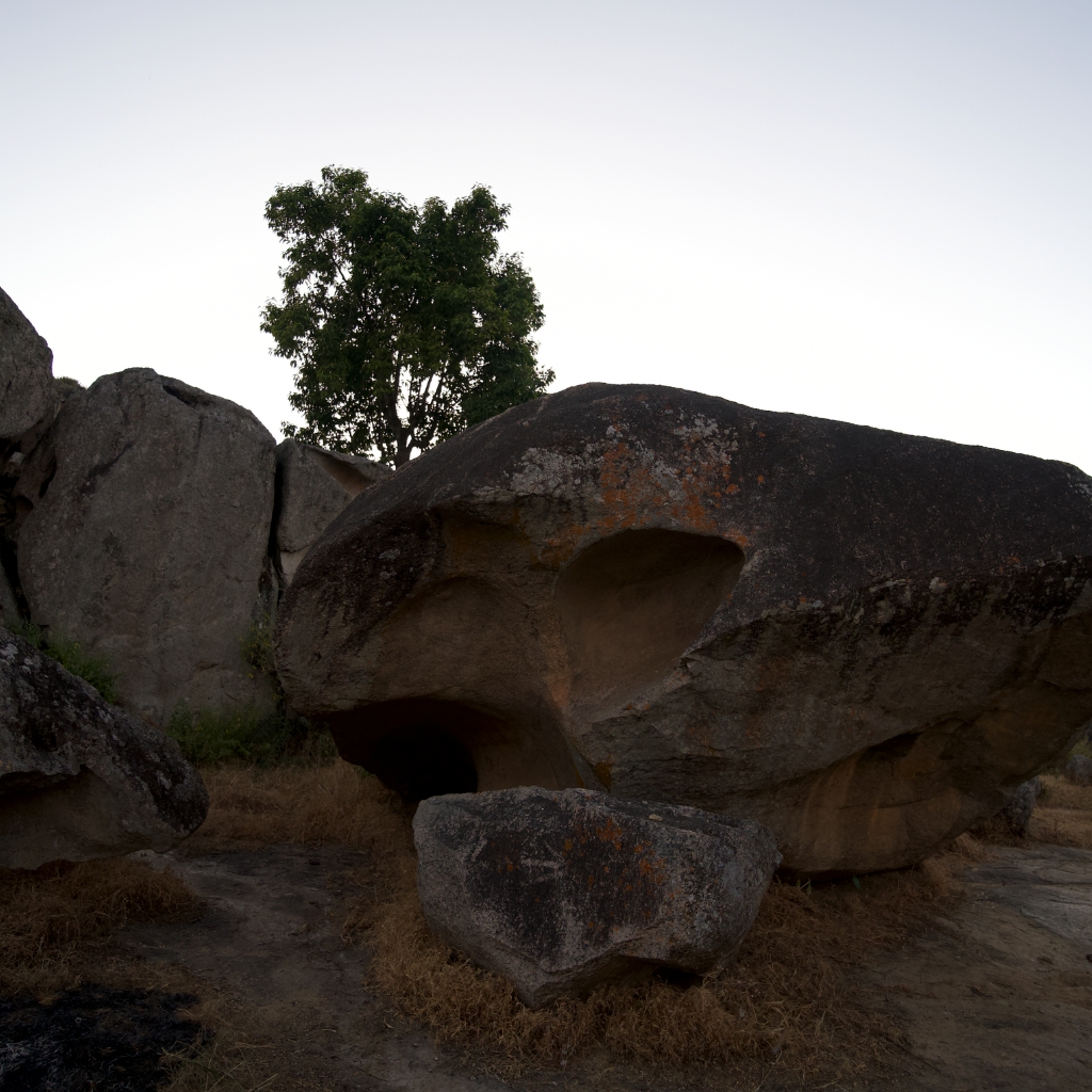 pahadi_bakra_project_shergaon_mount_abu17