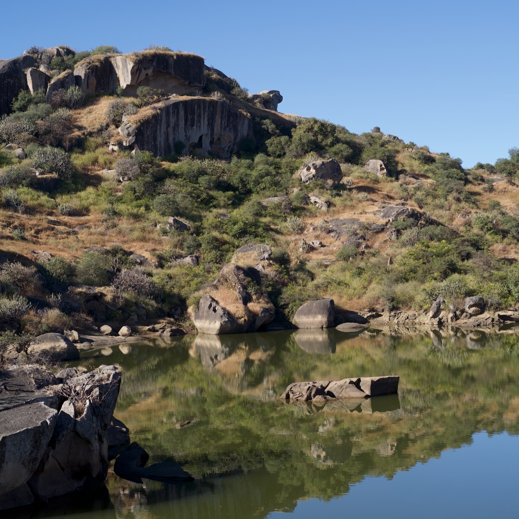 pahadi_bakra_project_shergaon_mount_abu18