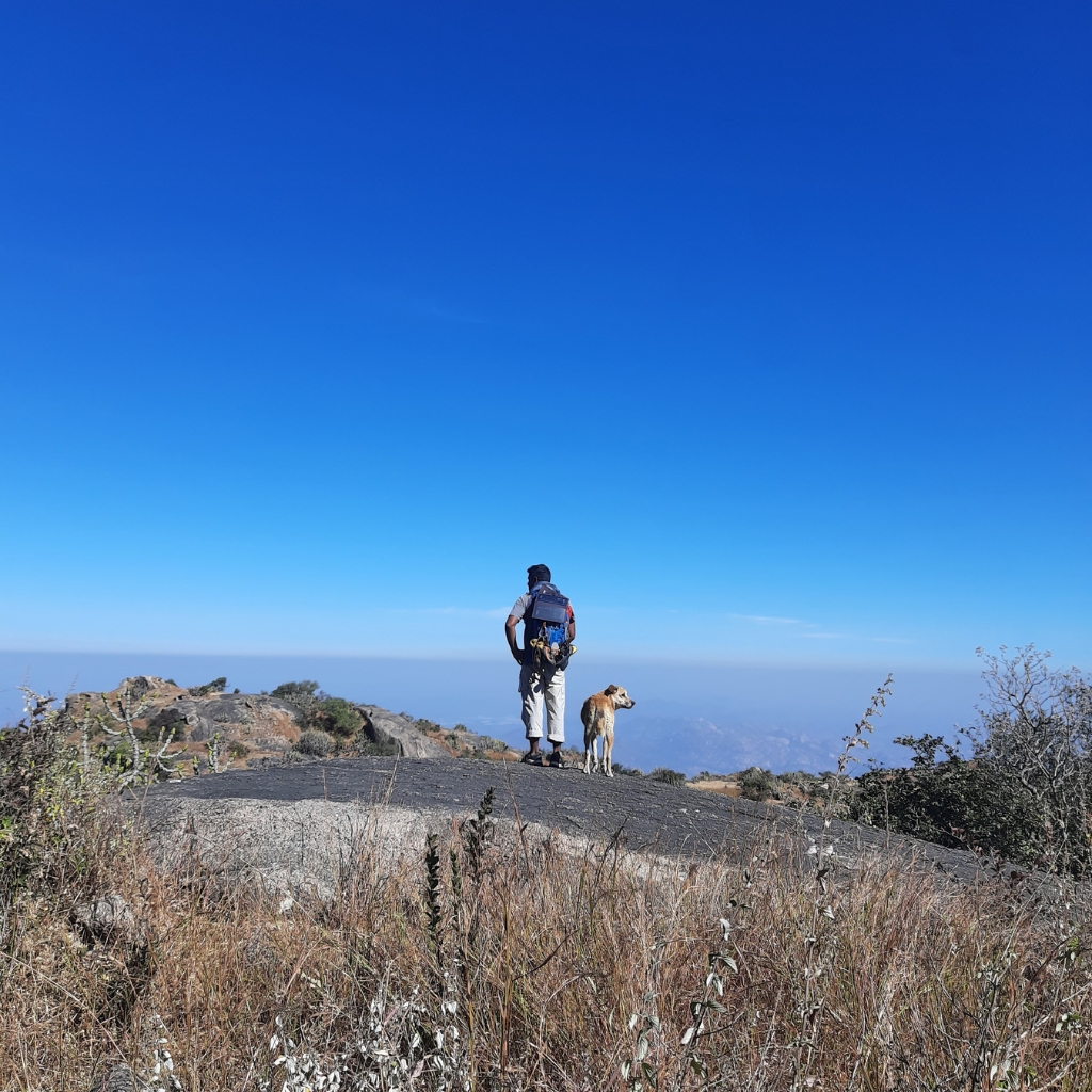 pahadi_bakra_project_shergaon_mount_abu2