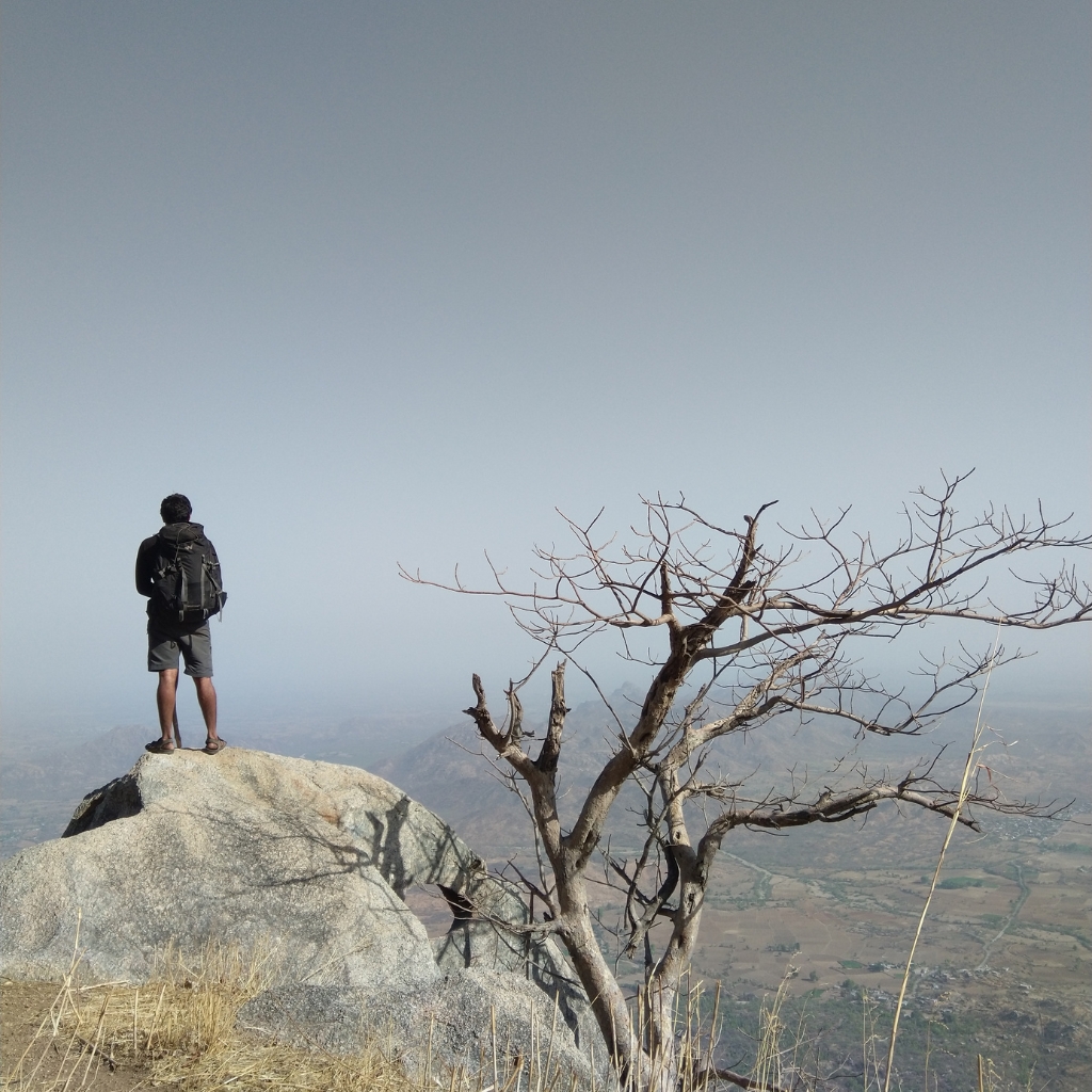pahadi_bakra_project_shergaon_mount_abu6