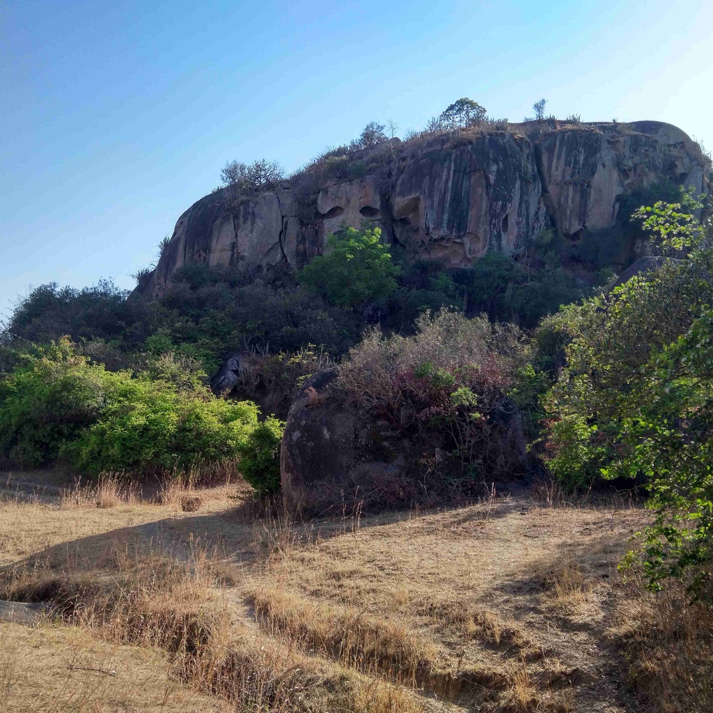 pahadi_bakra_project_shergaon_mount_abu8