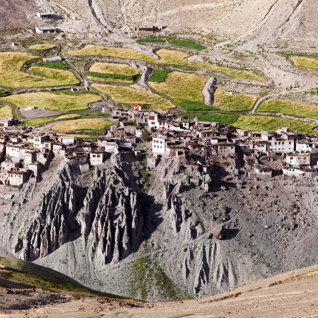 pahadi_bakra_project_zhanskar_reru_valley3