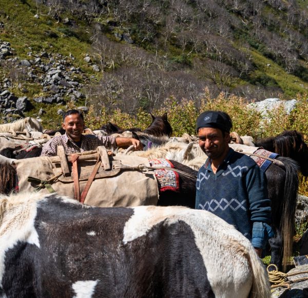 pahadi_bakra_mountain_guide_UIAA_UIAGM_IFMGA_alpinism_trek_ski_india (3)